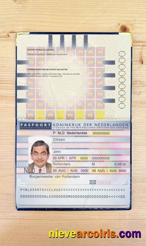 Netherlands (Holland) passport (2006-2016) photolook